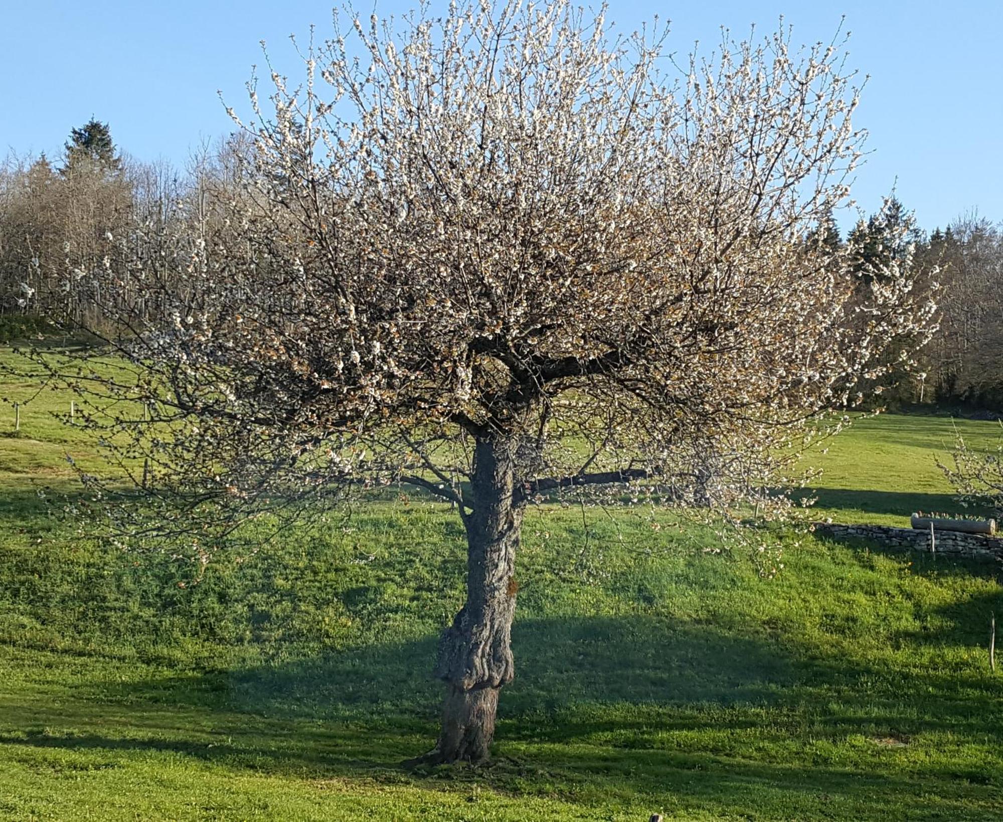 Gite Bard Des Ours Saint-Martin-en-Vercors Exteriör bild